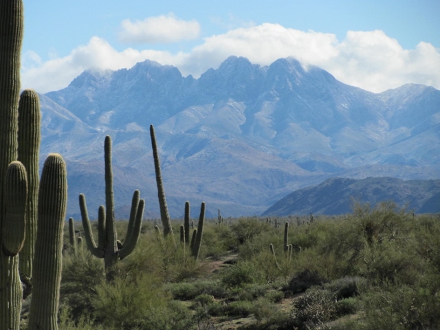 IMG_3317_-640x480- A desert landscape with cacti and mountains in the background.