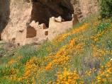 Tonto_1 A field of flowers and rocks in front of an old building.