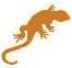 A lizard is shown in an orange and white pattern.