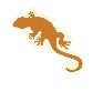 cropped-logo-lizard_2 (1) A brown lizard is standing on its hind legs.